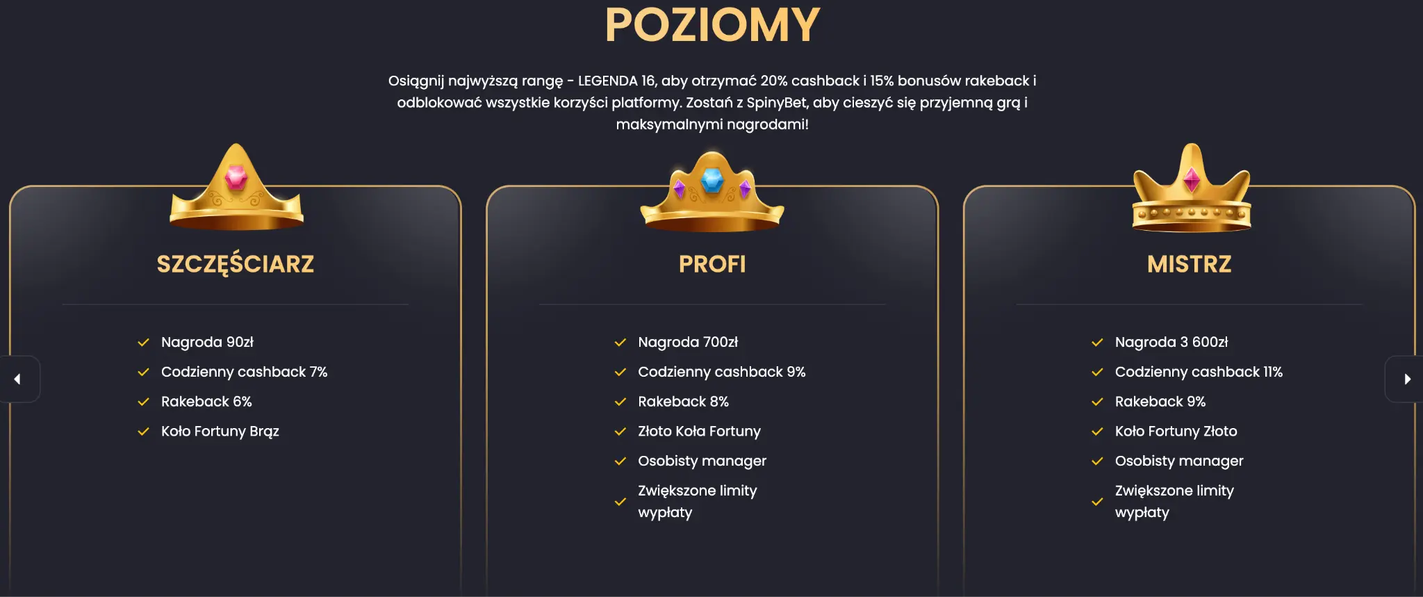 spinybet kasyno program VIP